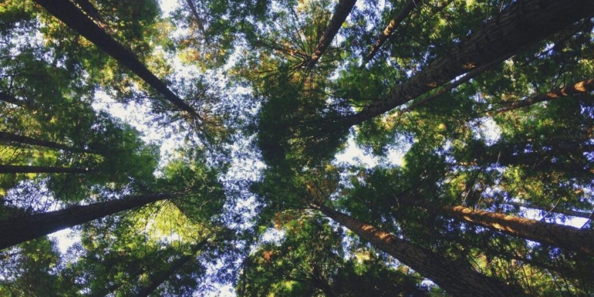 How to eat more sustainably