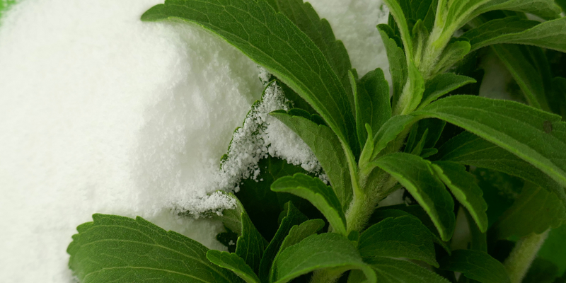 Stevia sweetener: What it is, how we use it & stevia-free options